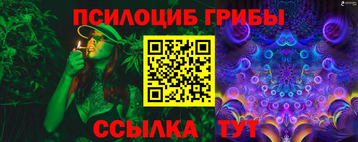 Прокопьевск  Галлюциногенные грибы ЛСД  продажа наркотиков  Вход с VPN 